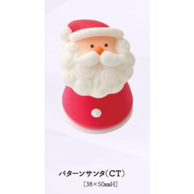 画像1: パターンサンタ（CT）12ヶ
