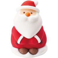 ほっこりサンタ（ＣＴ）　10個