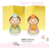 屛風付　まめひな　生用　1組