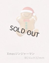 S284ジンジャーマン　10ヶ