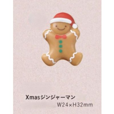 画像1: S284ジンジャーマン　10ヶ