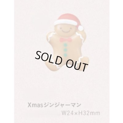 画像1: S284ジンジャーマン　３ヶ