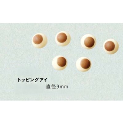画像1: TOー13トッピングアイ　10ｇ