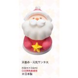 天着赤・元気サンタ大（生用・天然）　10個