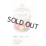 天着赤・元気サンタ大（生用・天然）　10個