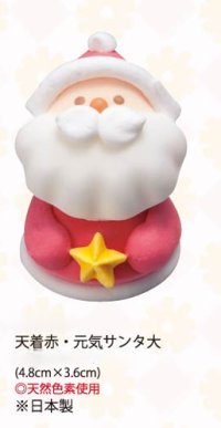 天着赤・元気サンタ大（生用・天然）　10個