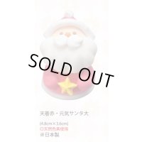 天着赤・元気サンタ大（生用・天然）　10個