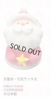 天着赤・元気サンタ大（生用・天然）　10個