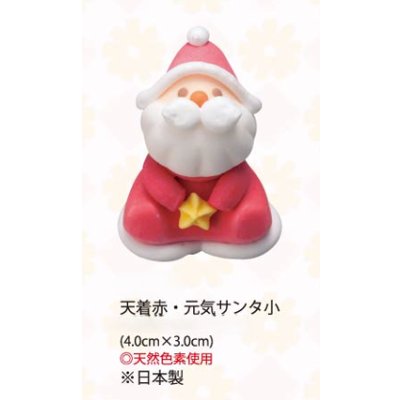 画像1: 天着赤・元気サンタ小（生用・天然）　14個