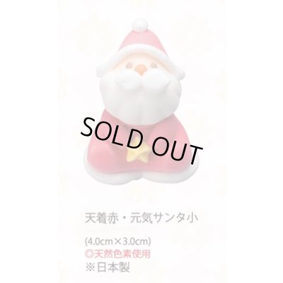 画像1: 天着赤・元気サンタ小（生用・天然）　14個