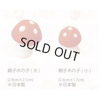 VO3890親子木の子組（生用）　1組