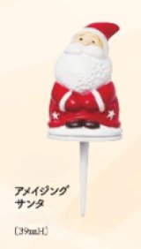 画像: アメイジングサンタ 1ヶ