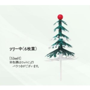 画像: ツリー中　1ヶ