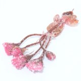 画像: 桜の花塩漬け　30g