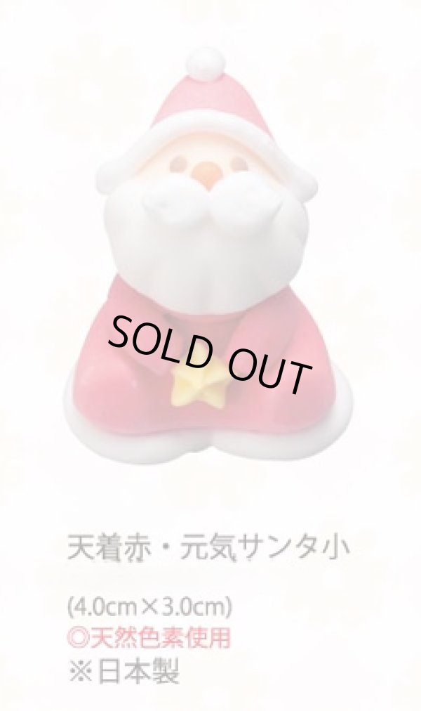 画像1: 天着赤・元気サンタ小（生用・天然）　14個 (1)
